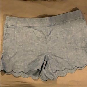Ann Taylor the LOFT Blue The Riviera shorts